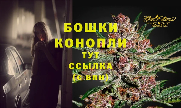 бутират Гусев