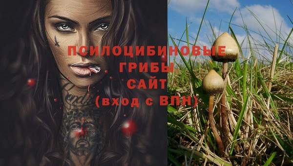 бутират Гусев