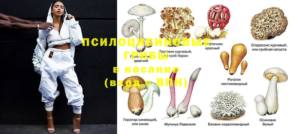 mdpv Гусиноозёрск