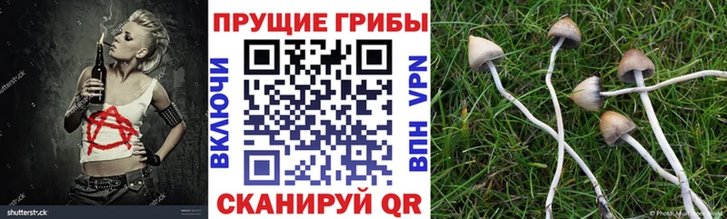 Купить закладки  Валдай  Галлюциногенные грибы ЛСД 